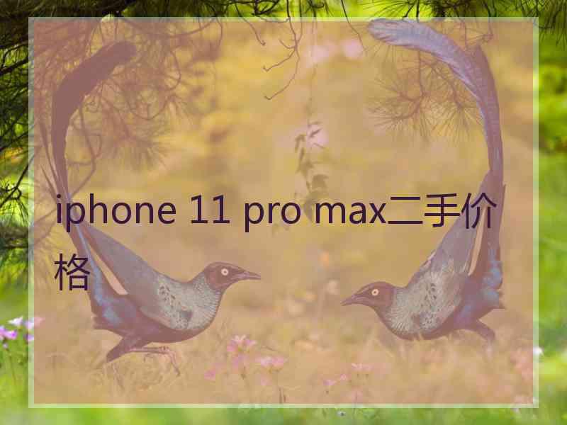 iphone 11 pro max二手价格