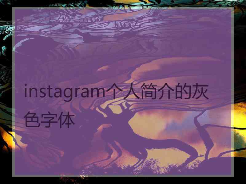 instagram个人简介的灰色字体