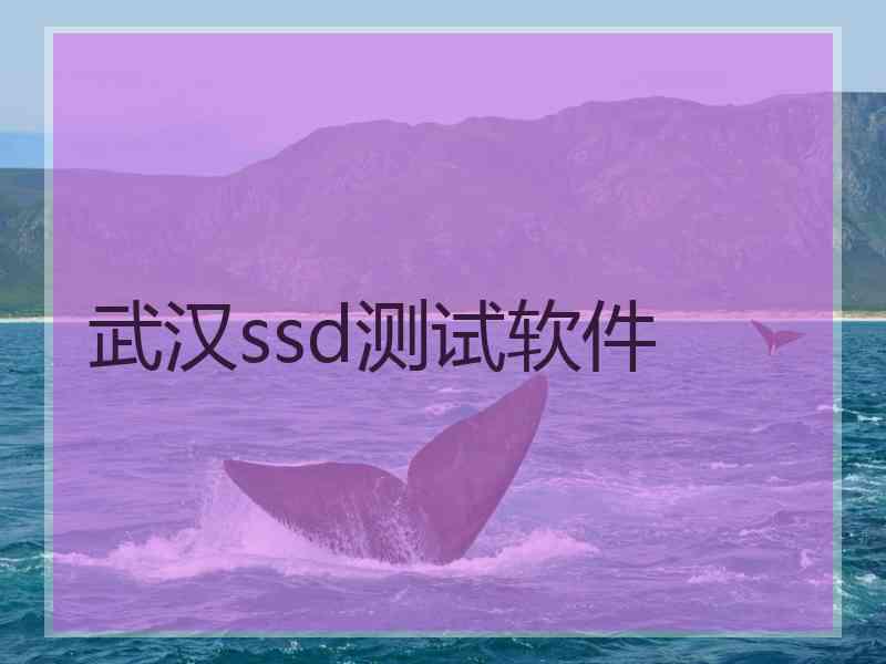 武汉ssd测试软件