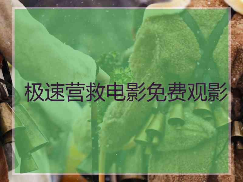 极速营救电影免费观影