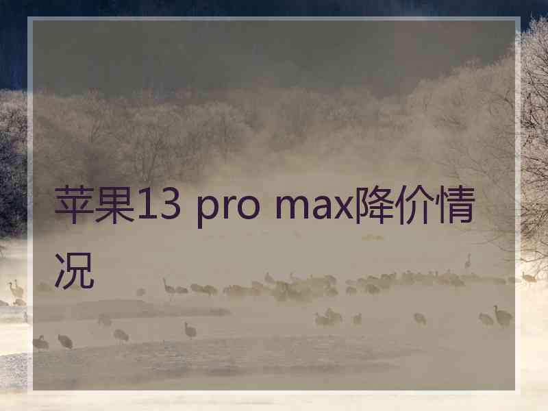 苹果13 pro max降价情况