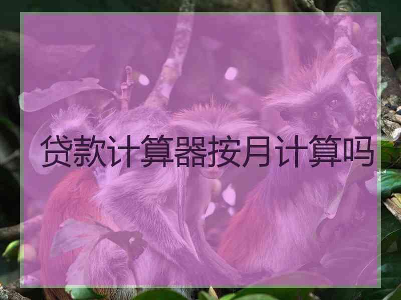 贷款计算器按月计算吗