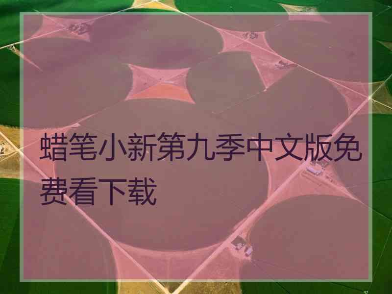 蜡笔小新第九季中文版免费看下载