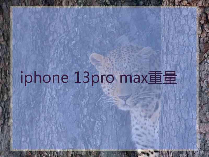 iphone 13pro max重量