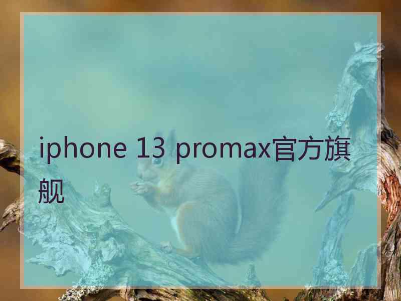 iphone 13 promax官方旗舰