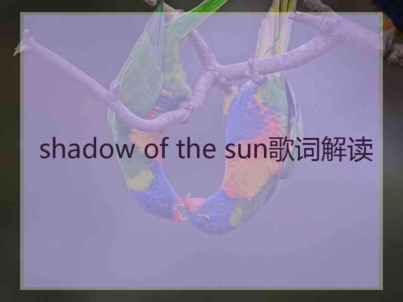 shadow of the sun歌词解读