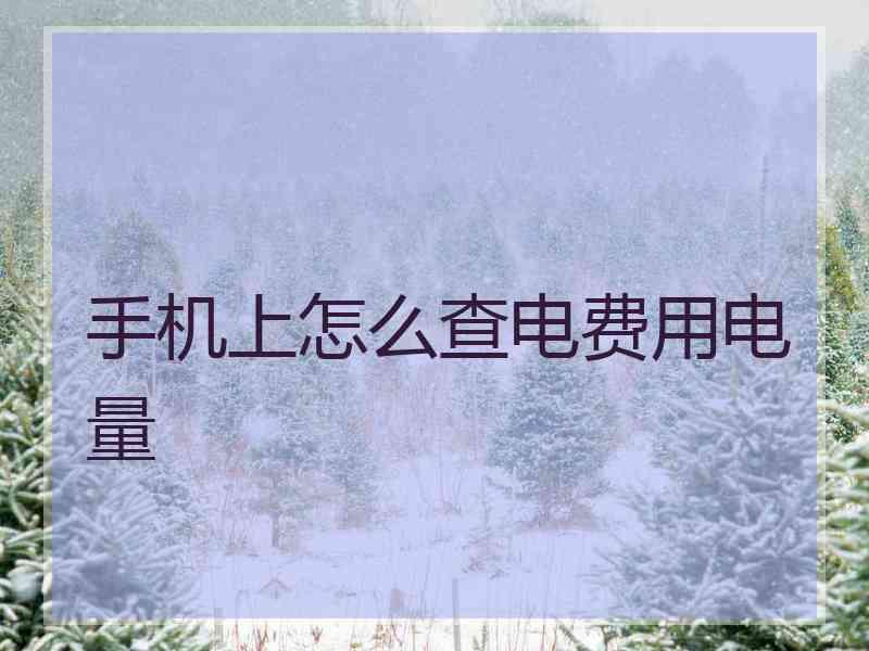 手机上怎么查电费用电量