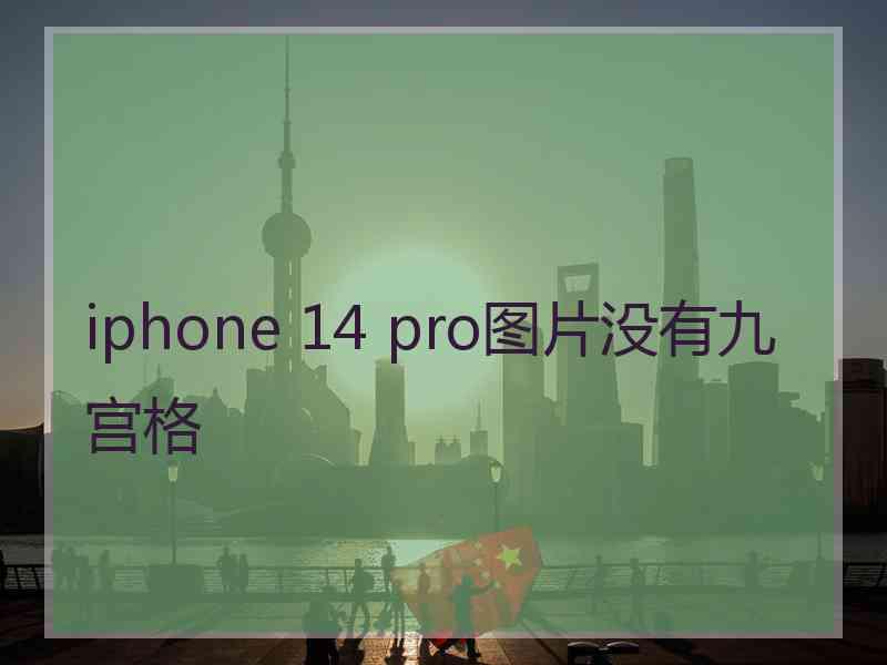 iphone 14 pro图片没有九宫格