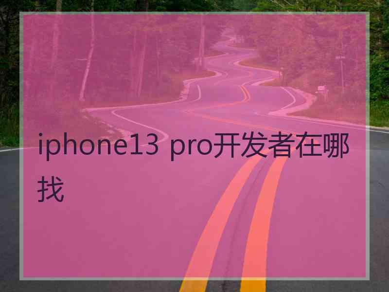 iphone13 pro开发者在哪找