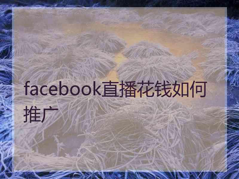 facebook直播花钱如何推广