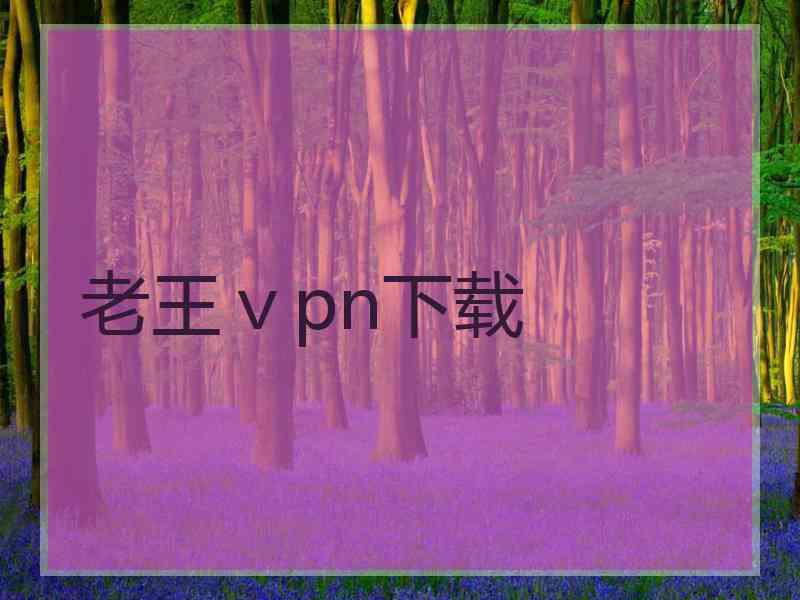 老王ⅴpn下载