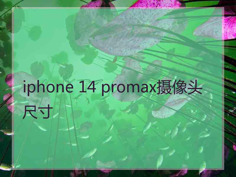 iphone 14 promax摄像头尺寸