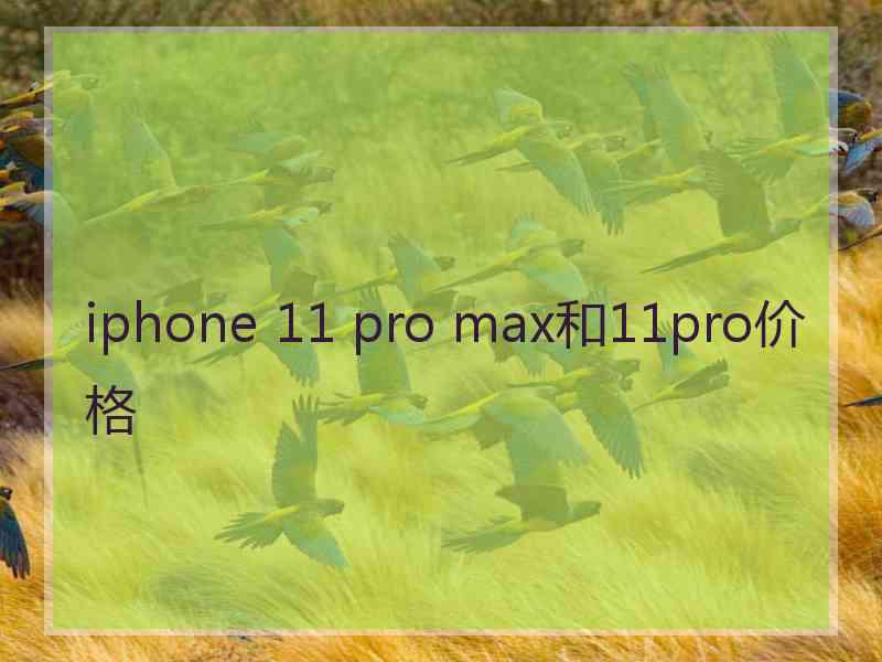 iphone 11 pro max和11pro价格