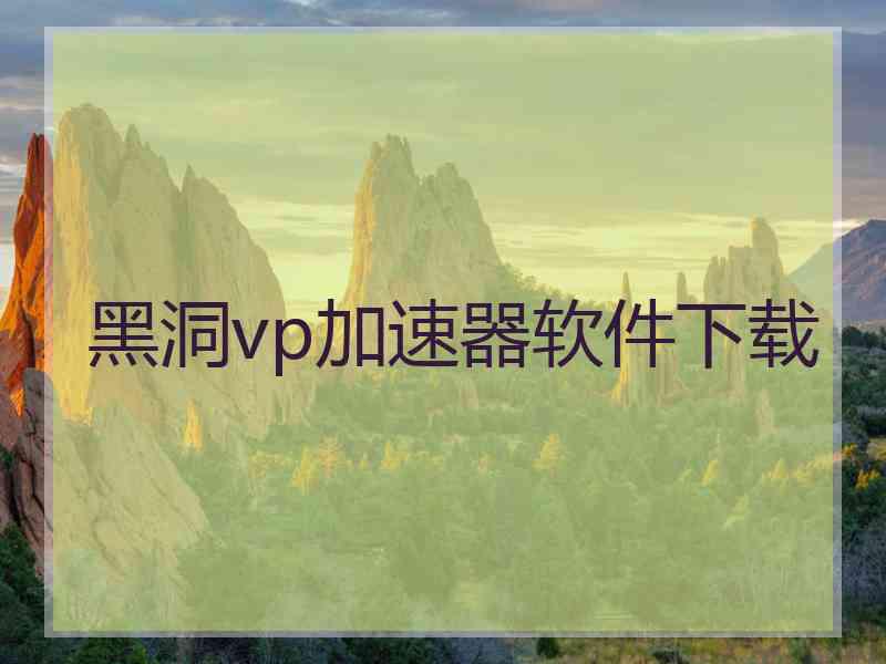 黑洞vp加速器软件下载