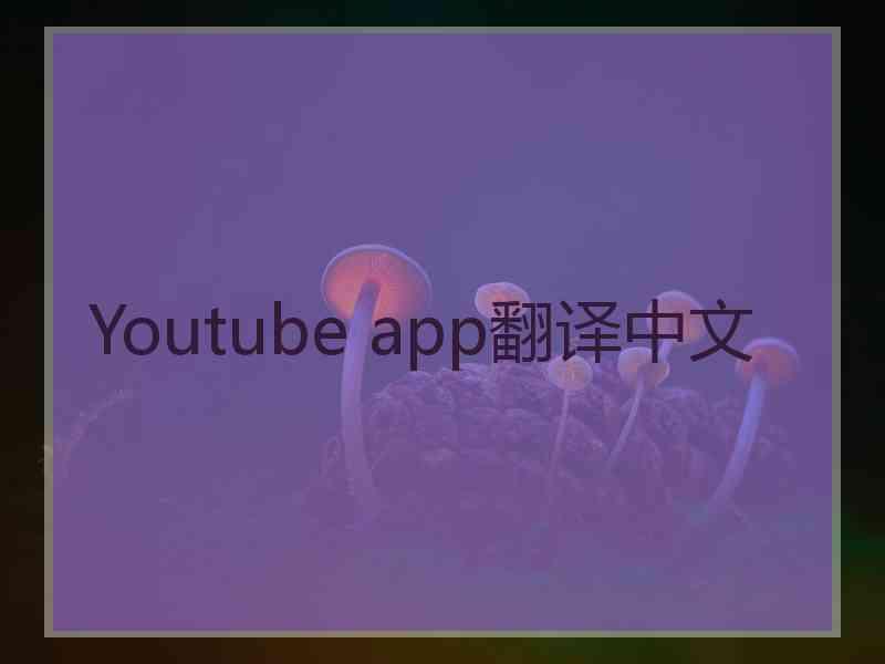 Youtube app翻译中文