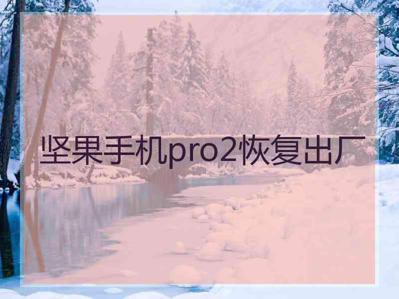 坚果手机pro2恢复出厂