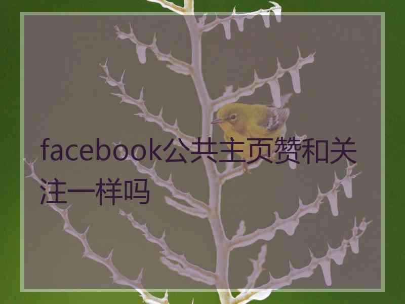 facebook公共主页赞和关注一样吗