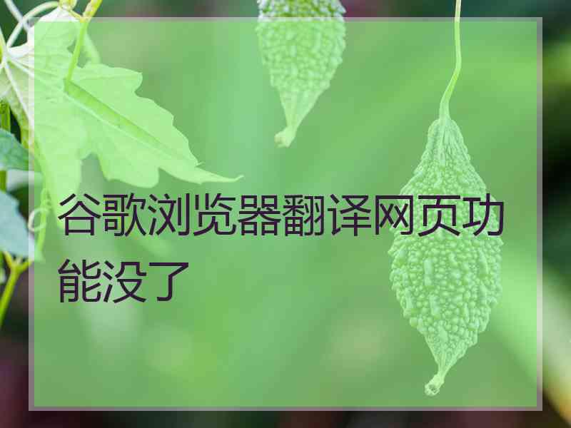 谷歌浏览器翻译网页功能没了