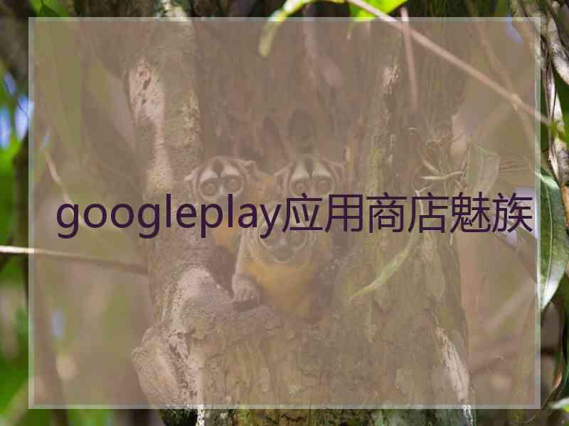 googleplay应用商店魅族