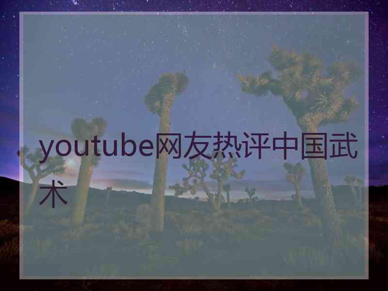 youtube网友热评中国武术