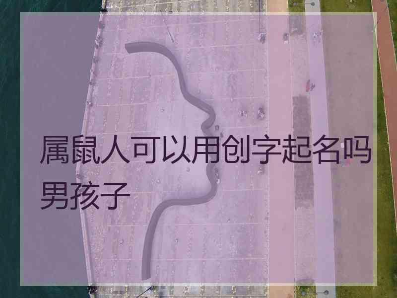 属鼠人可以用创字起名吗男孩子