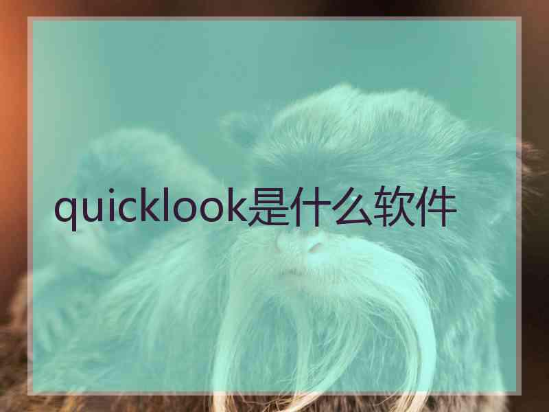 quicklook是什么软件