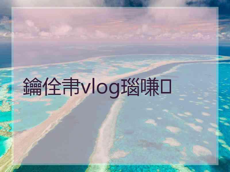 鑰佺帇vlog瑙嗛