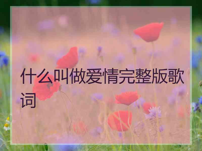 什么叫做爱情完整版歌词