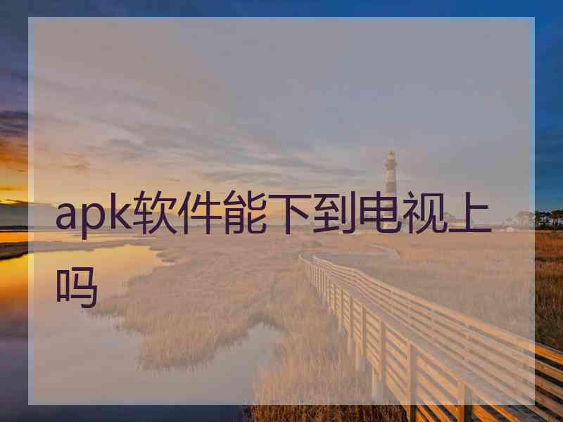 apk软件能下到电视上吗