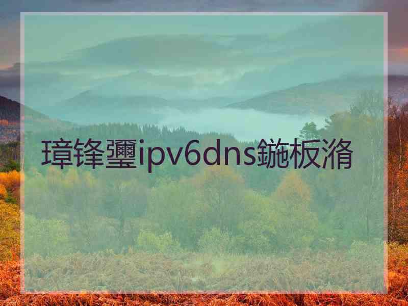 璋锋瓕ipv6dns鍦板潃