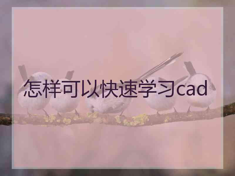 怎样可以快速学习cad