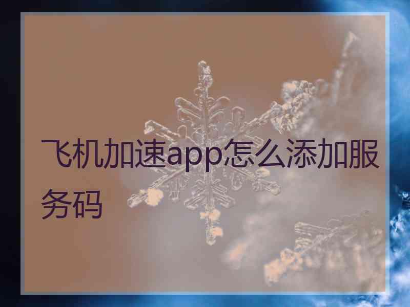 飞机加速app怎么添加服务码