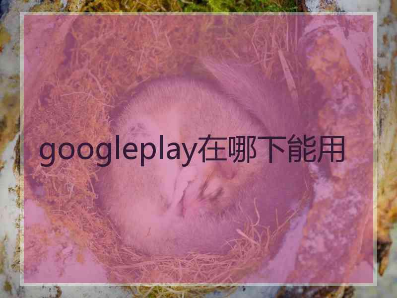 googleplay在哪下能用