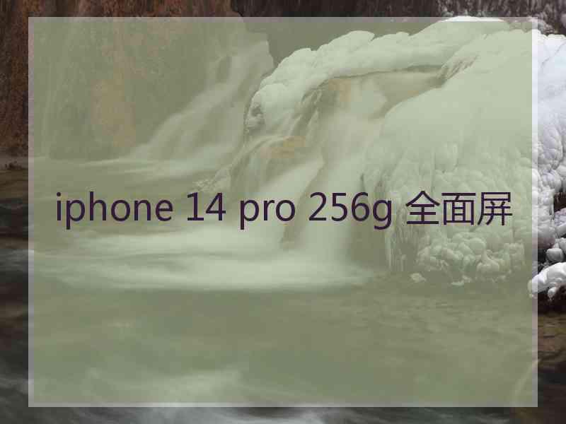 iphone 14 pro 256g 全面屏