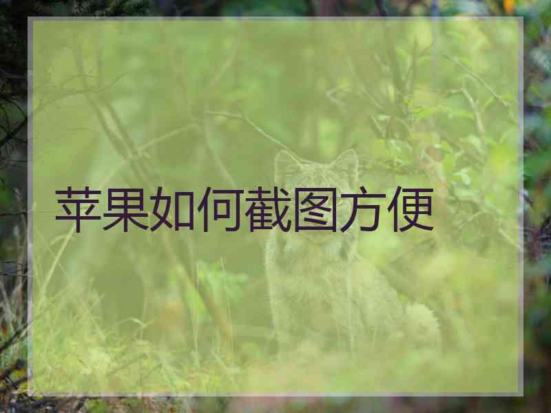 苹果如何截图方便