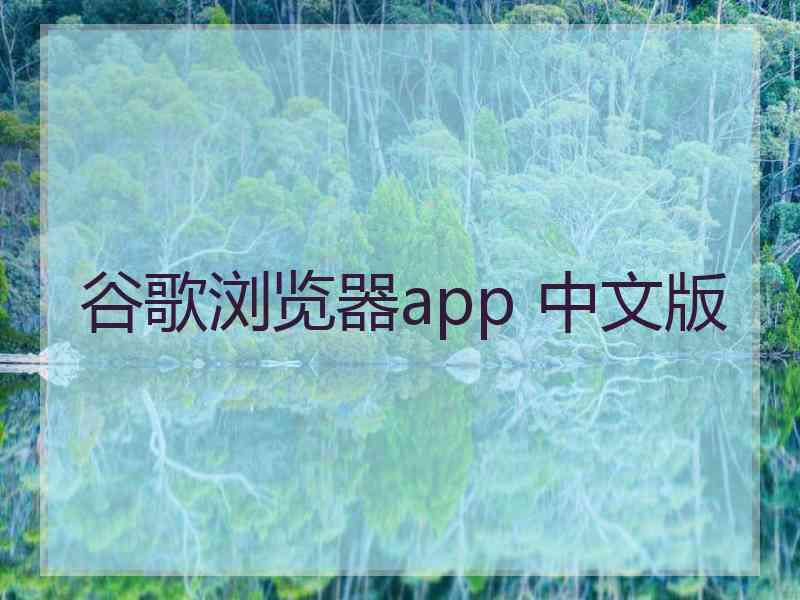 谷歌浏览器app 中文版