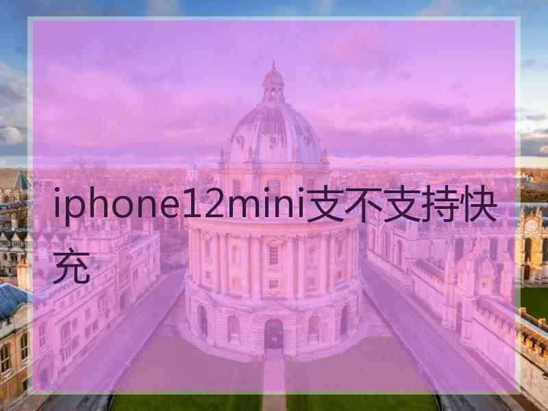 iphone12mini支不支持快充