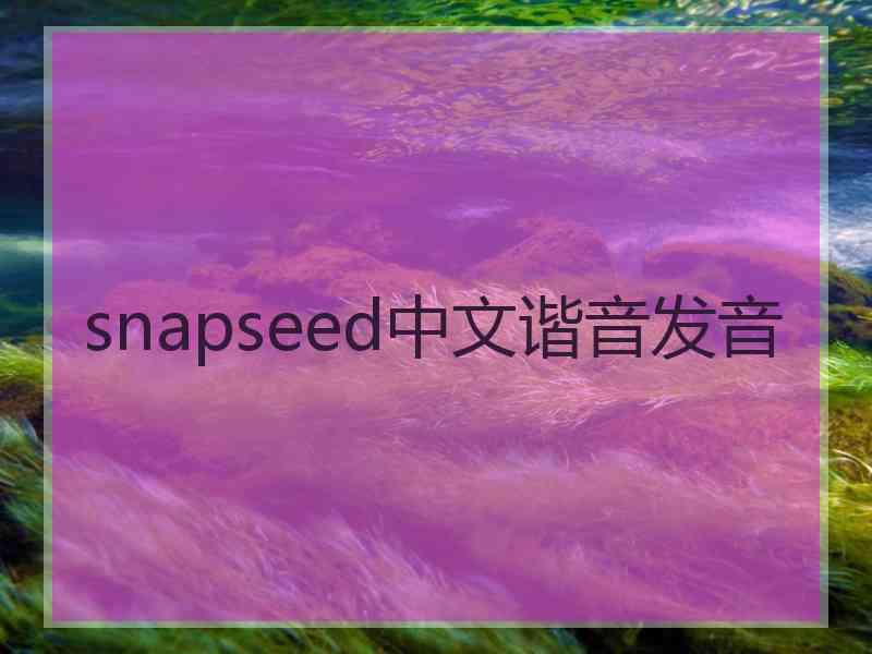 snapseed中文谐音发音