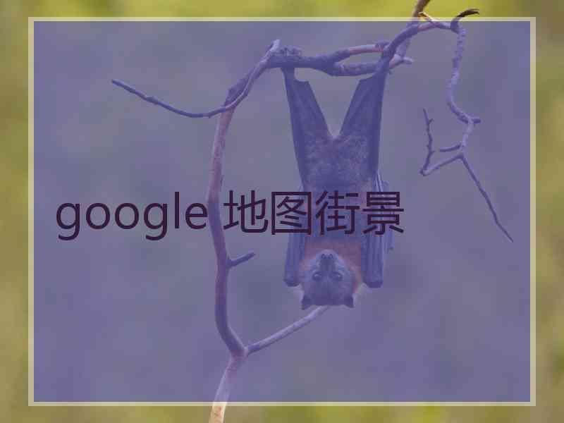 google 地图街景