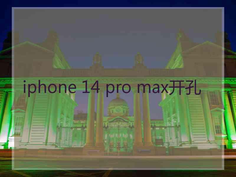 iphone 14 pro max开孔