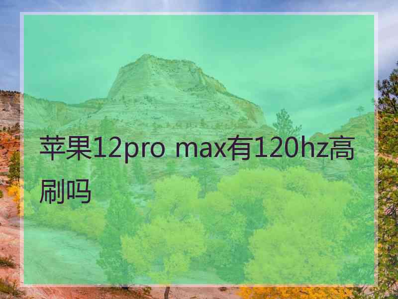 苹果12pro max有120hz高刷吗