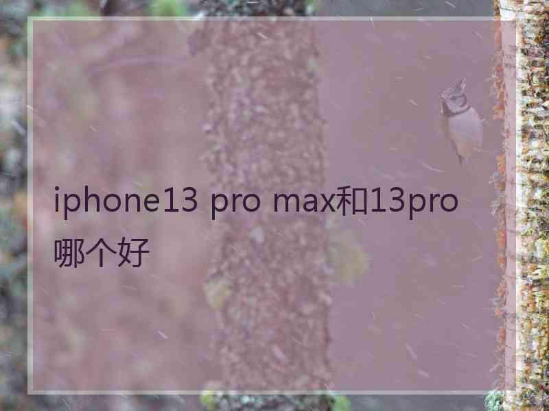 iphone13 pro max和13pro哪个好