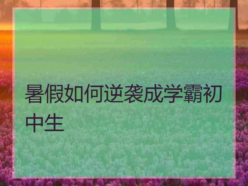 暑假如何逆袭成学霸初中生