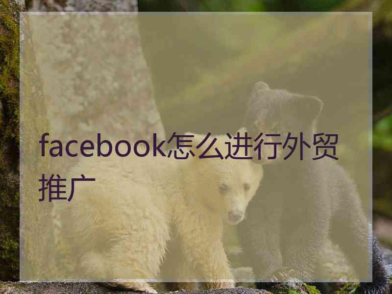 facebook怎么进行外贸推广