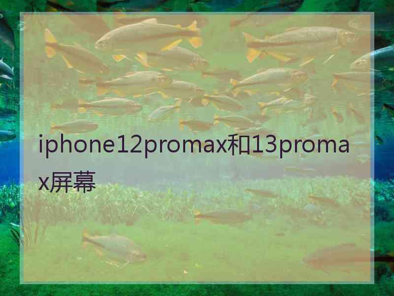 iphone12promax和13promax屏幕