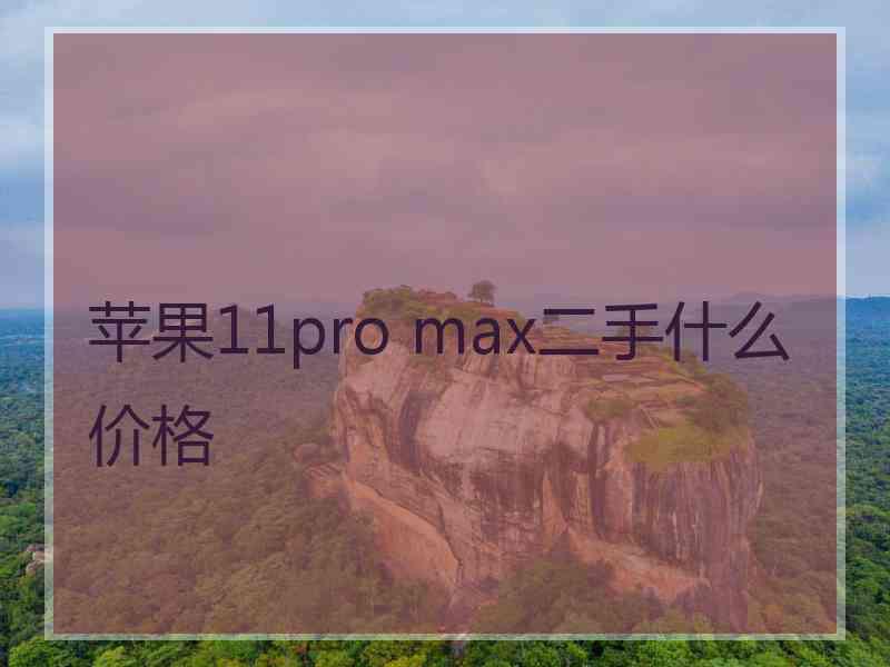 苹果11pro max二手什么价格