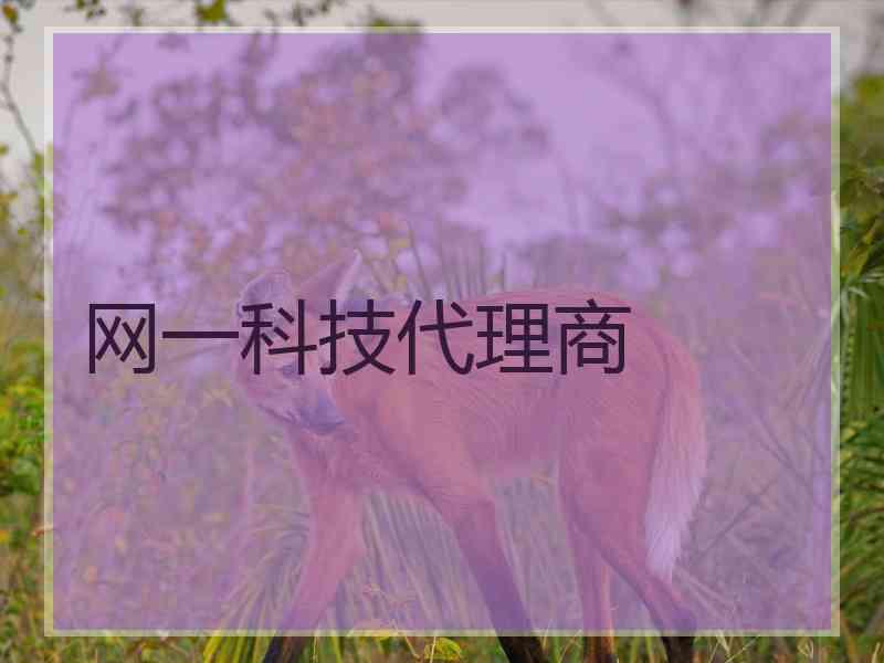 网一科技代理商