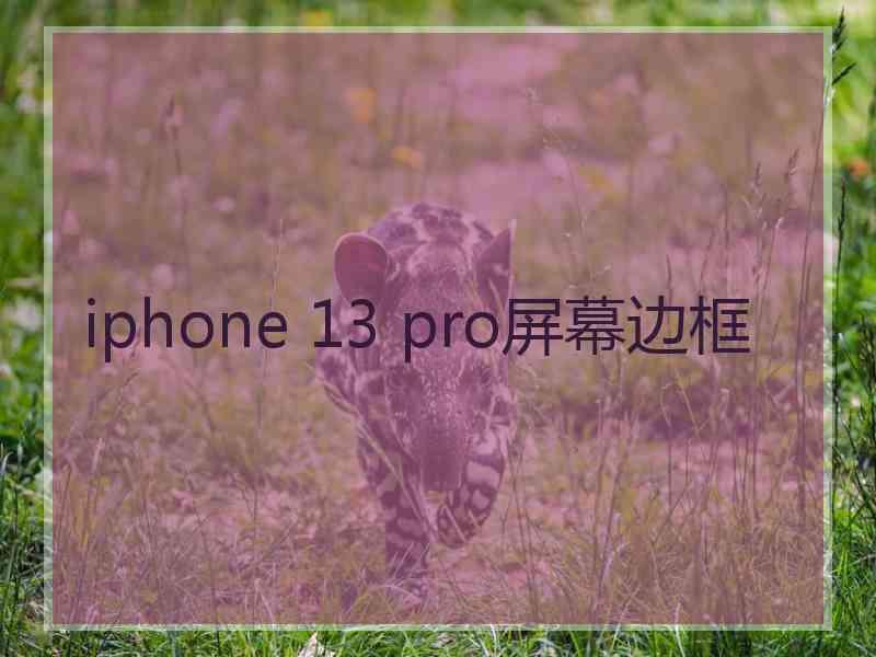 iphone 13 pro屏幕边框