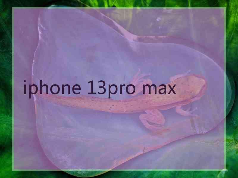 iphone 13pro max