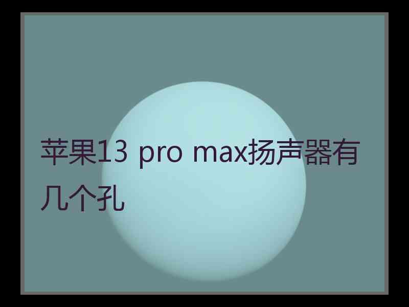 苹果13 pro max扬声器有几个孔